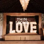 Metallic Gold Art deco veneer in exterior settings