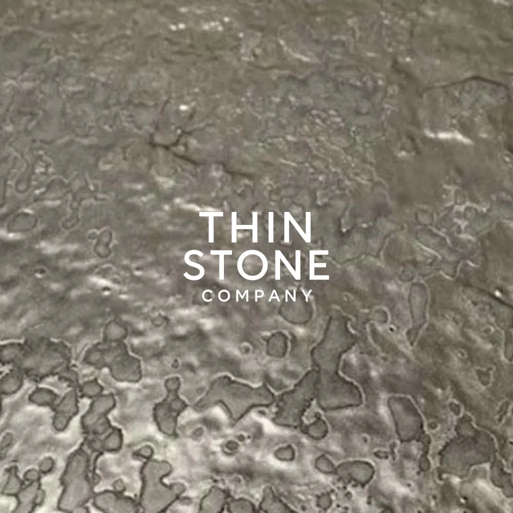 Metallic Silver Art Decor Veneer